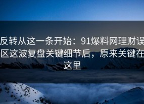 反转从这一条开始：91爆料网理财误区这波复盘关键细节后，原来关键在这里