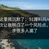 看到这里我沉默了：91爆料网APP权限这次让我明白了一个风险点，这一步很多人漏了