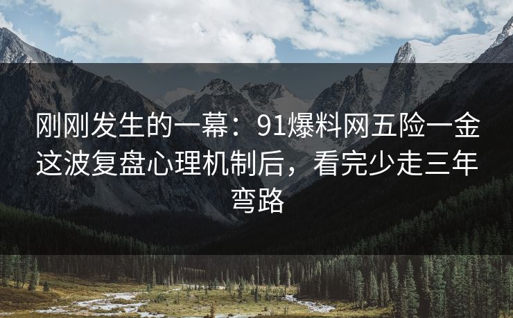 刚刚发生的一幕：91爆料网五险一金这波复盘心理机制后，看完少走三年弯路