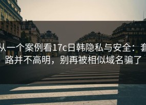从一个案例看17c日韩隐私与安全：套路并不高明，别再被相似域名骗了