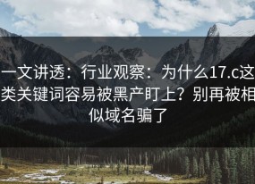 一文讲透：行业观察：为什么17.c这类关键词容易被黑产盯上？别再被相似域名骗了