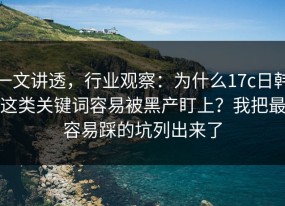 一文讲透，行业观察：为什么17c日韩这类关键词容易被黑产盯上？我把最容易踩的坑列出来了
