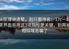 从原理讲清楚，别只看排名：17c一起草界面易用这3项指标更关键，别再被相似域名骗了