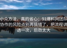 小众方法，真的省心：91爆料网团队协作的风险点别再搞错了，把流程讲透一次，后劲太大