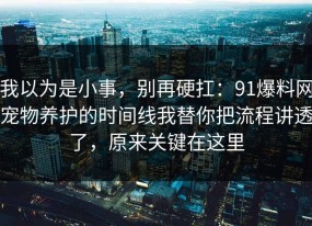 我以为是小事，别再硬扛：91爆料网宠物养护的时间线我替你把流程讲透了，原来关键在这里