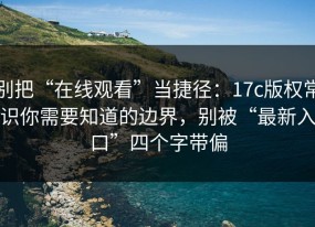 别把“在线观看”当捷径：17c版权常识你需要知道的边界，别被“最新入口”四个字带偏