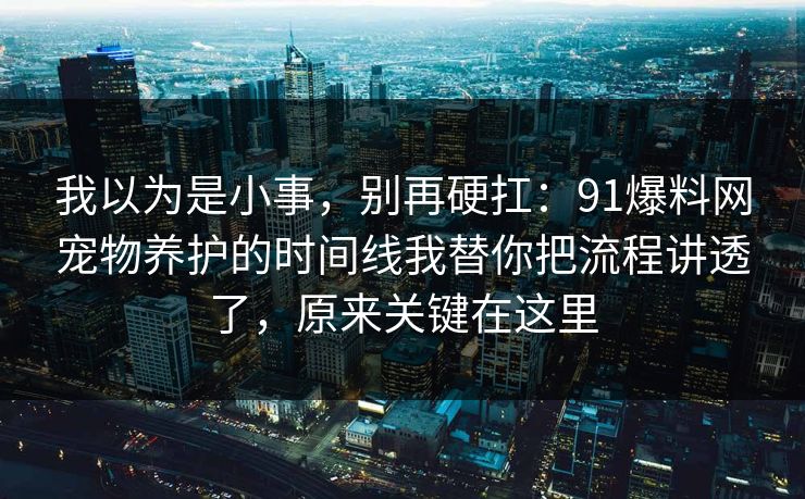 我以为是小事，别再硬扛：91爆料网宠物养护的时间线我替你把流程讲透了，原来关键在这里