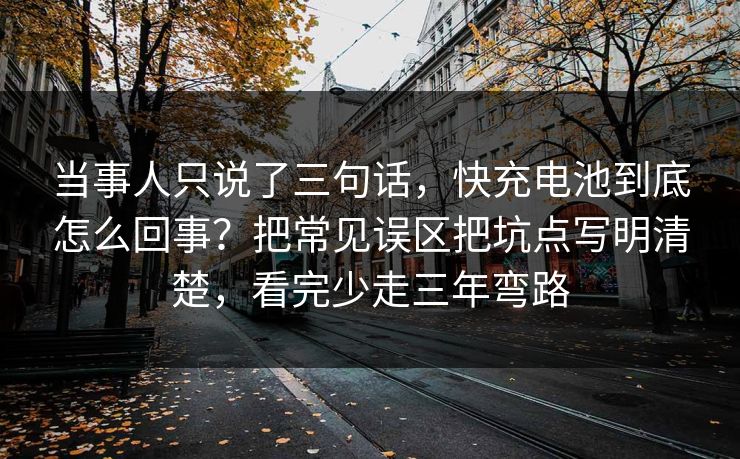 当事人只说了三句话，快充电池到底怎么回事？把常见误区把坑点写明清楚，看完少走三年弯路